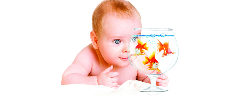 1680x1260_child-aquarium-fish